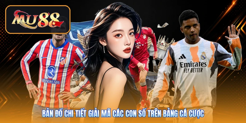 Bản đồ chi tiết giải mã các con số trên bảng cá cược